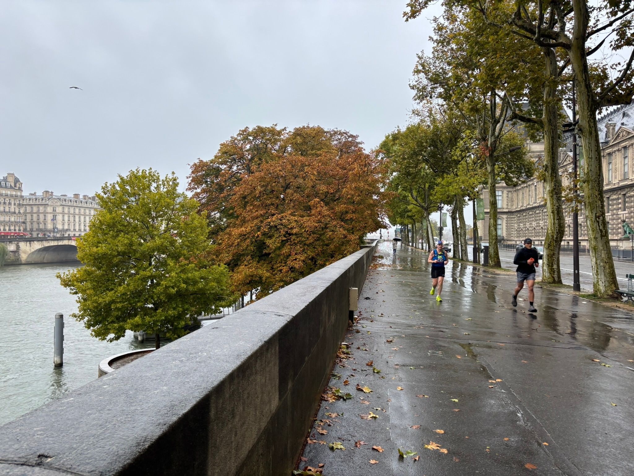 塞纳河雨天跑步的人